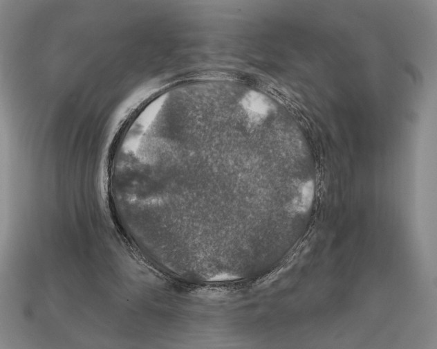 X0000112020294200909141041