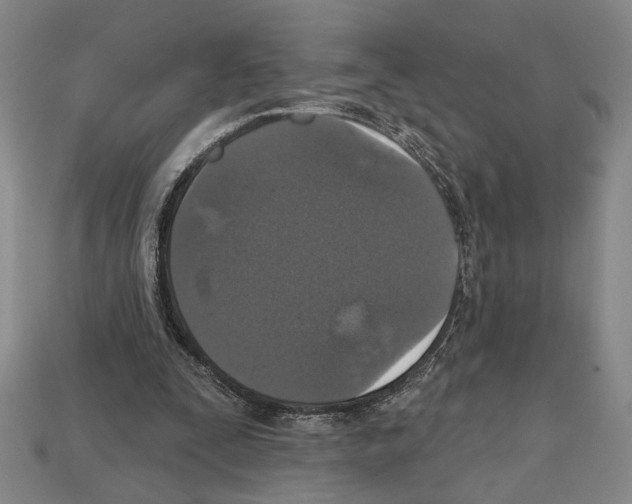 X0000112020295200909141041