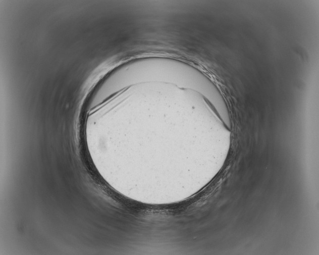 X0000112020296200909141041