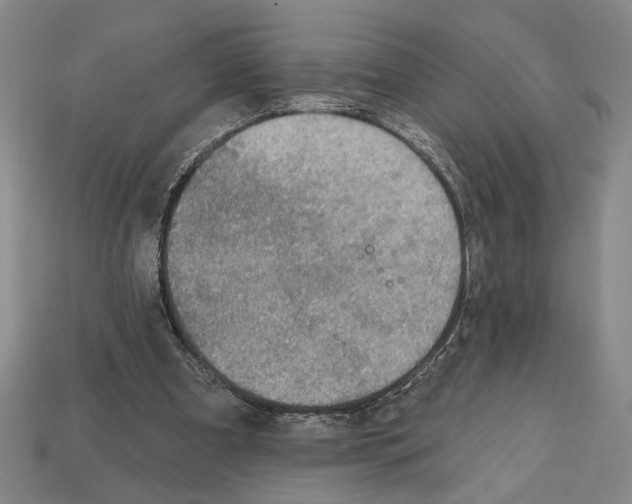 X0000112020297200909141041