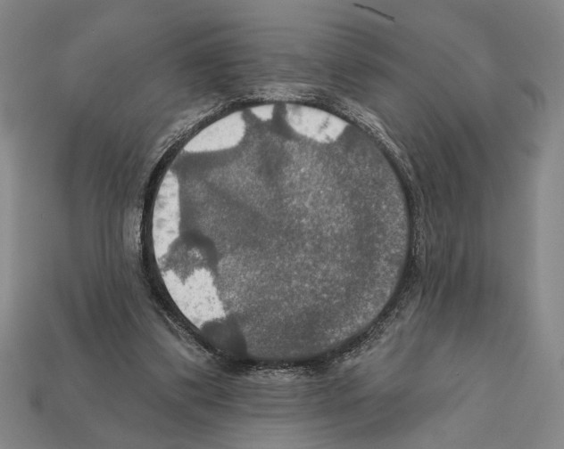 X0000112020299200909141041