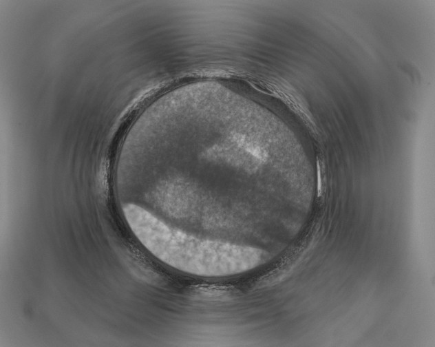 X0000112020300200909141041