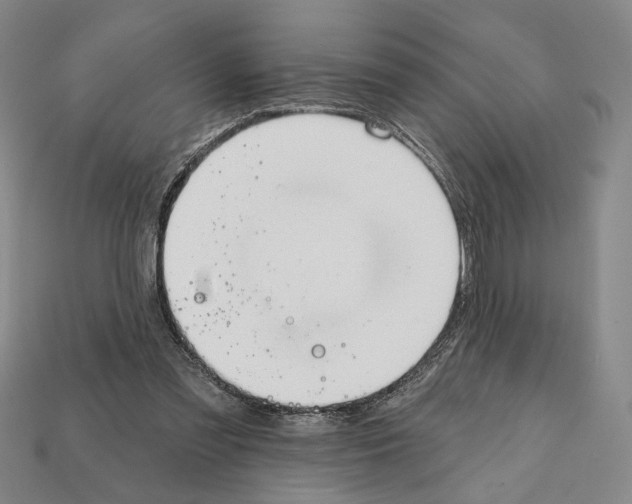 X0000112020301200909141041