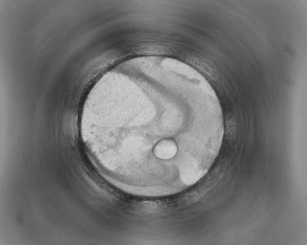 X0000112020302200909141041