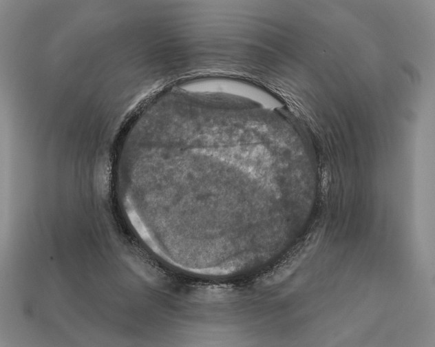 X0000112020304200909141041