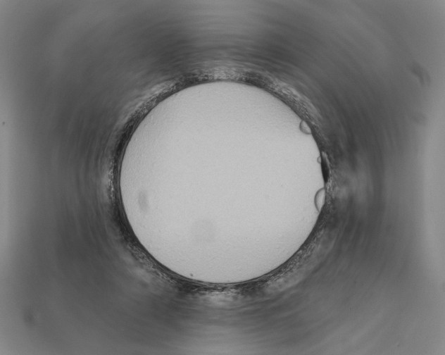 X0000112020306200909141041