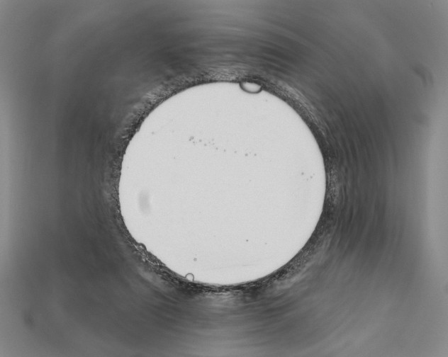 X0000112020307200909141041