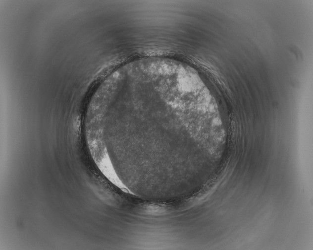 X0000112020308200909141041