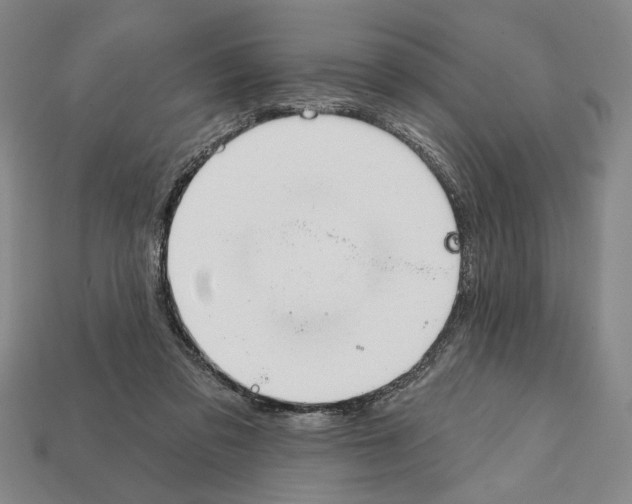 X0000112020309200909141041