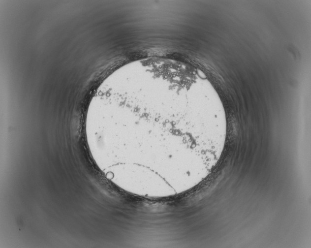 X0000112020311200909141041