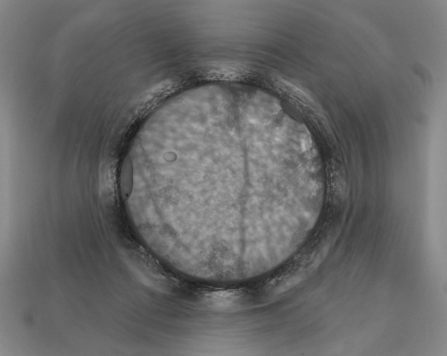 X0000112020312200909141041