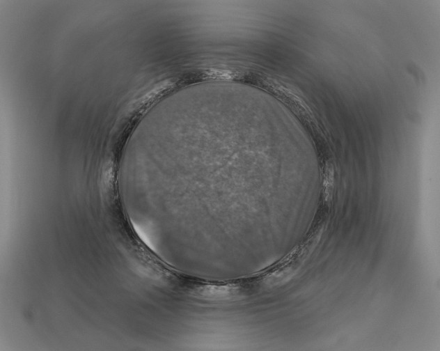 X0000112020314200909141041