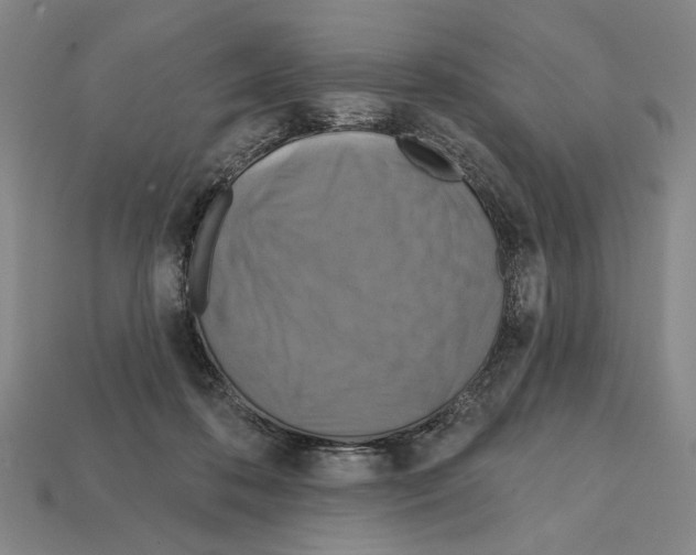 X0000112020316200909141041