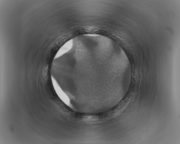 X0000112020319200909141041