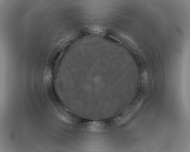 X0000112020320200909141041