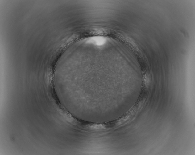 X0000112020322200909141041