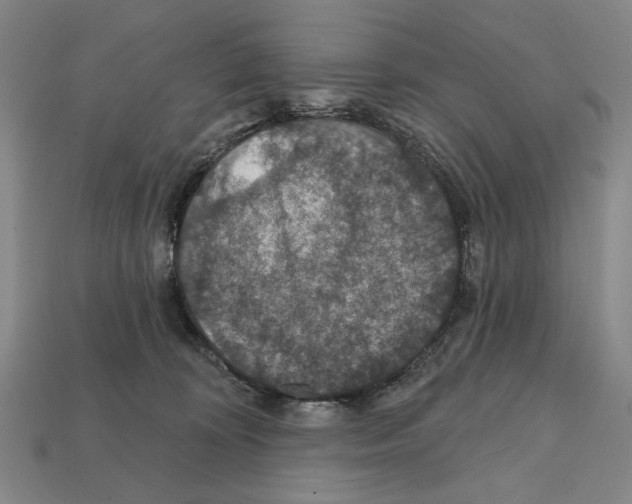 X0000112020324200909141041