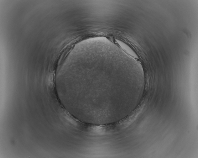 X0000112020325200909141041