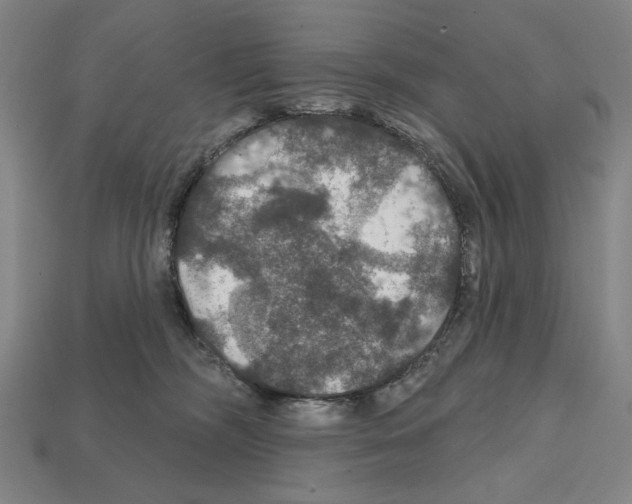 X0000112020326200909141041