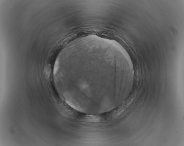 X0000112020328200909141041