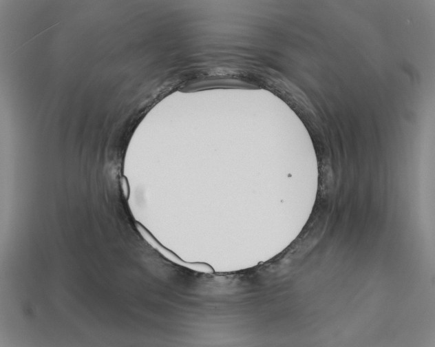 X0000112020329200909141041