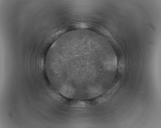 X0000112020330200909141041