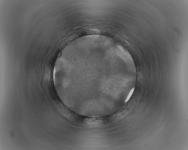 X0000112020331200909141041