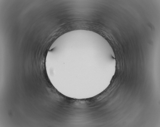 X0000112020332200909141041