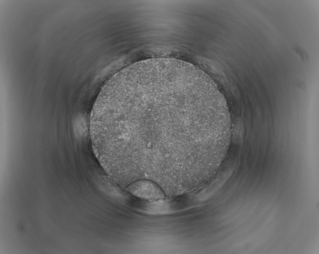 X0000112020335200909141041