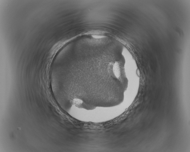 X0000112020337200909141040