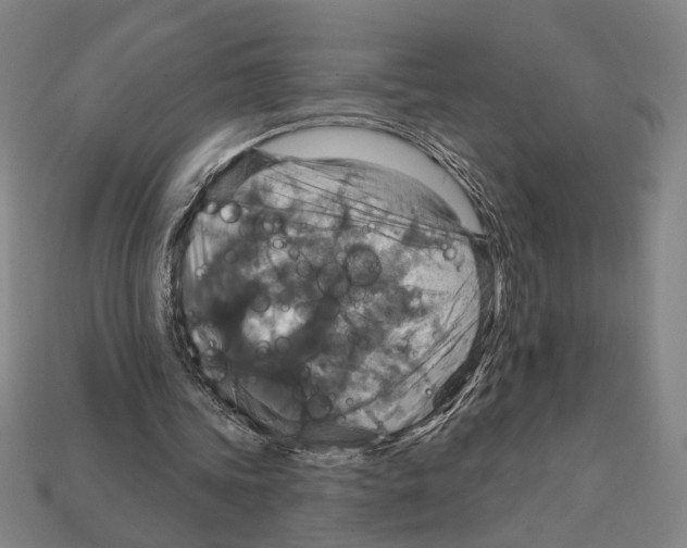 X0000112020339200909141040