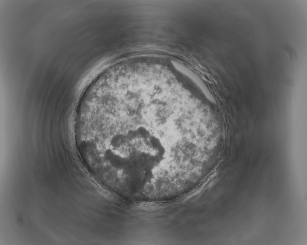 X0000112020341200909141040