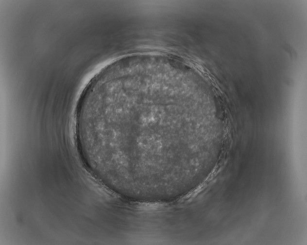 X0000112020342200909141040