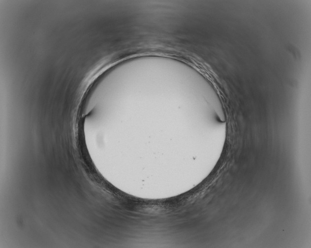 X0000112020344200909141040