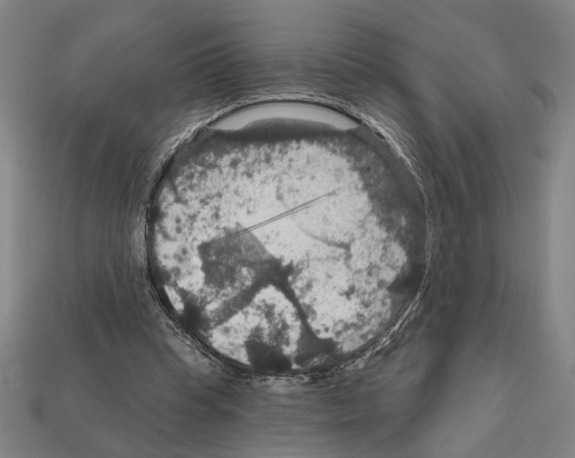 X0000112020345200909141040