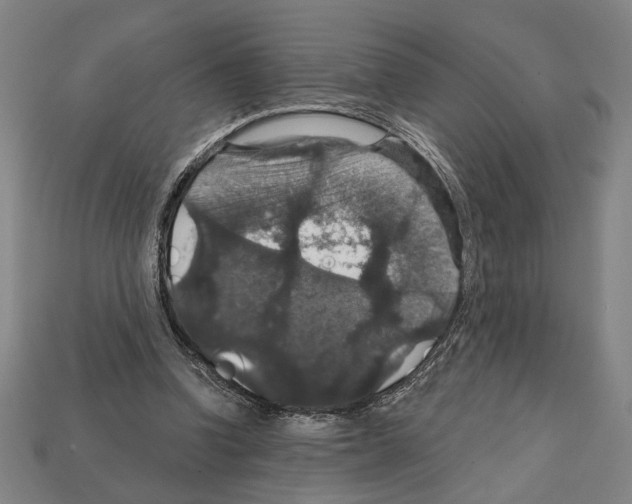 X0000112020346200909141040