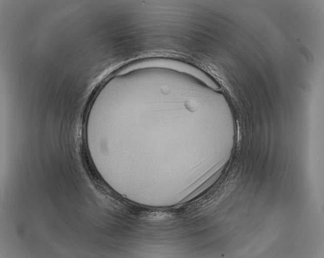 X0000112020348200909141040