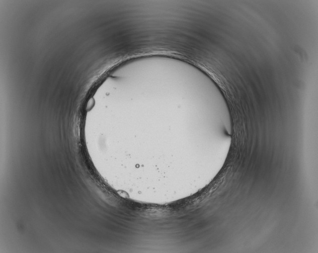 X0000112020350200909141040