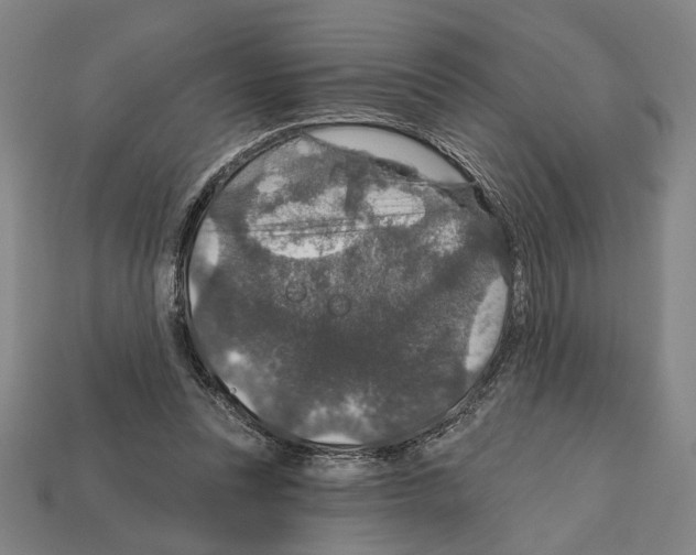 X0000112020351200909141040