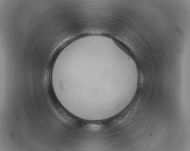 X0000112020352200909141040