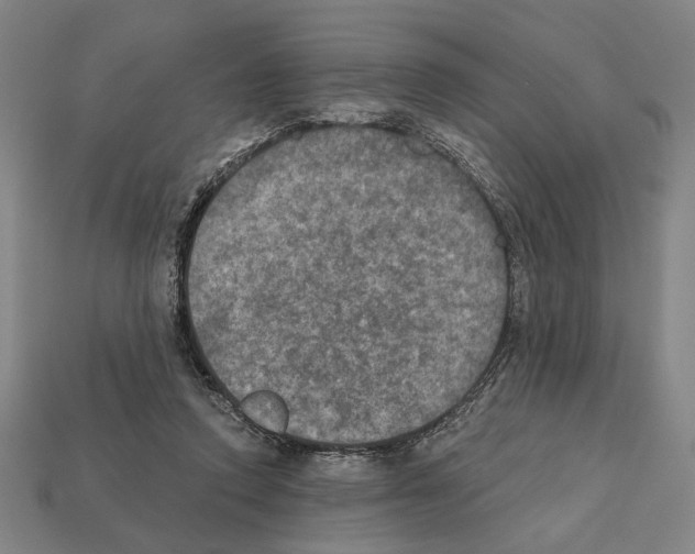 X0000112020354200909141040