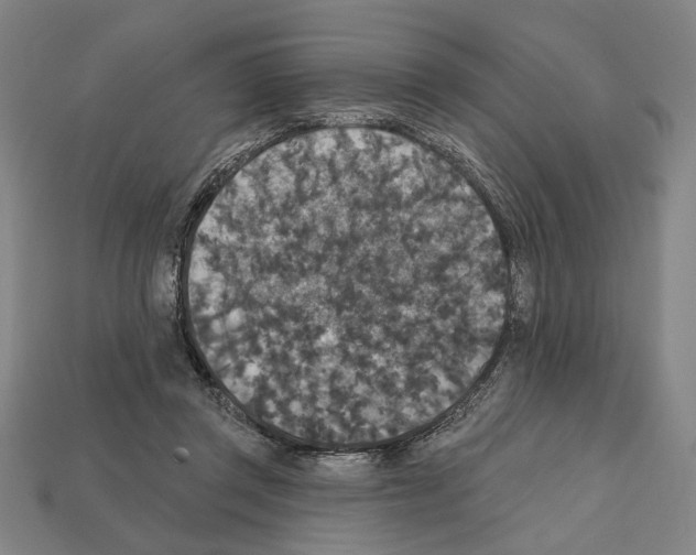 X0000112020357200909141040