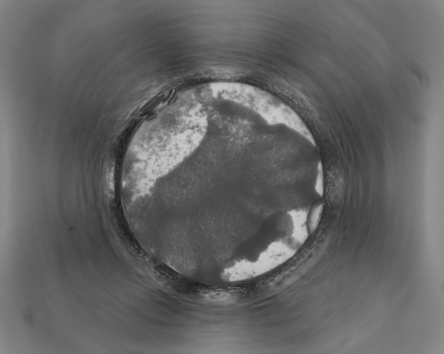 X0000112020358200909141040