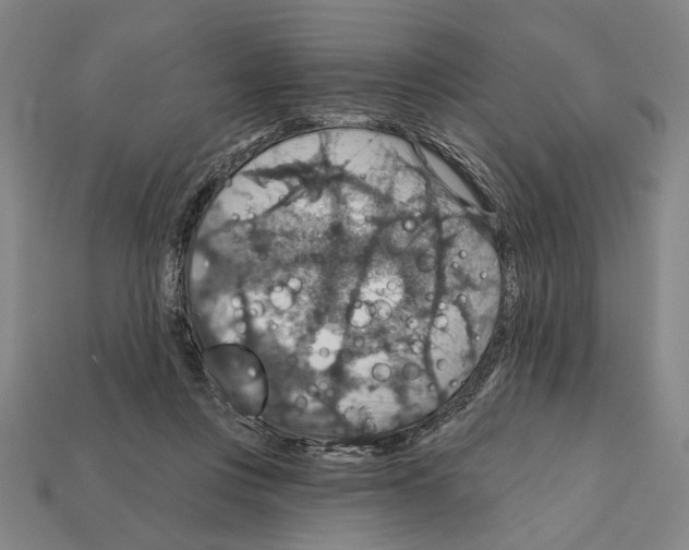 X0000112020359200909141040