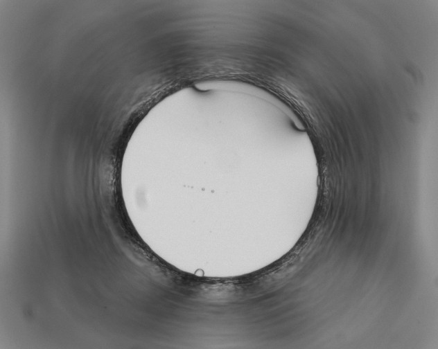 X0000112020362200909141040