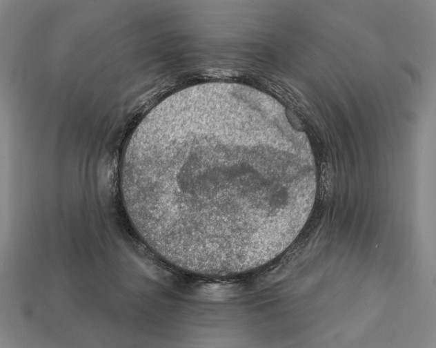 X0000112020364200909141040