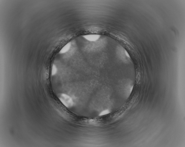 X0000112020365200909141040