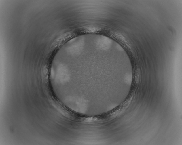 X0000112020366200909141040