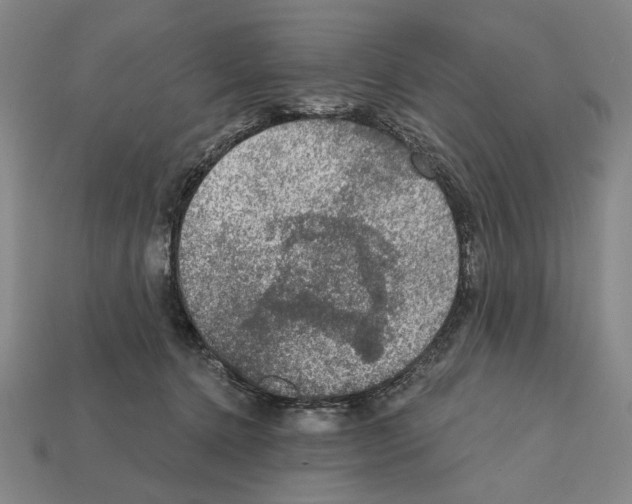 X0000112020368200909141040