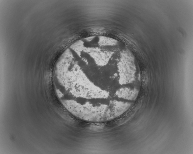 X0000112020369200909141040